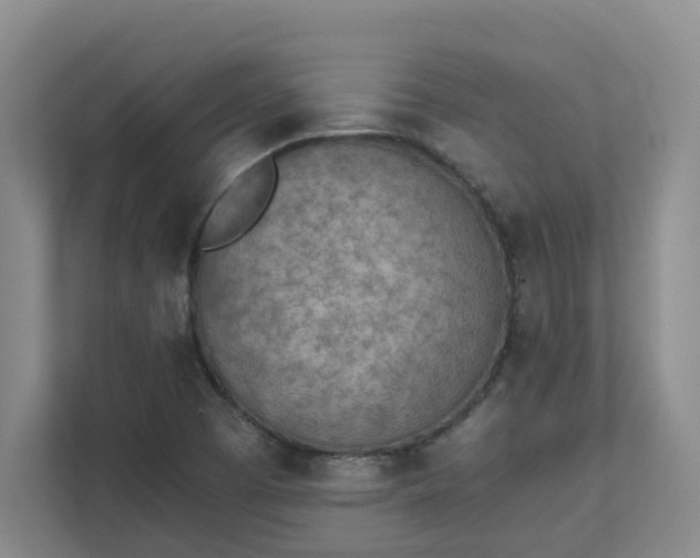 X0000111491457200907210959