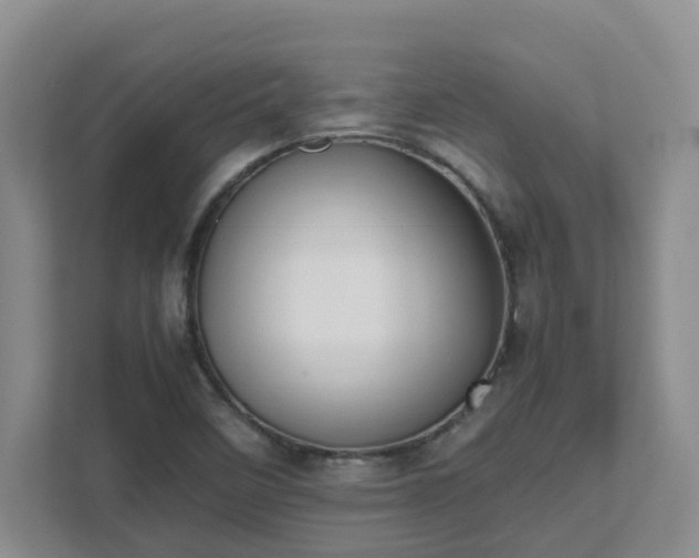 X0000111491458200907210959