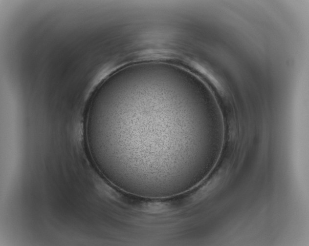 X0000111491459200907210959