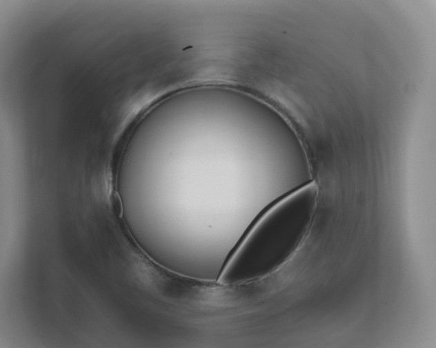 X0000111491461200907210959