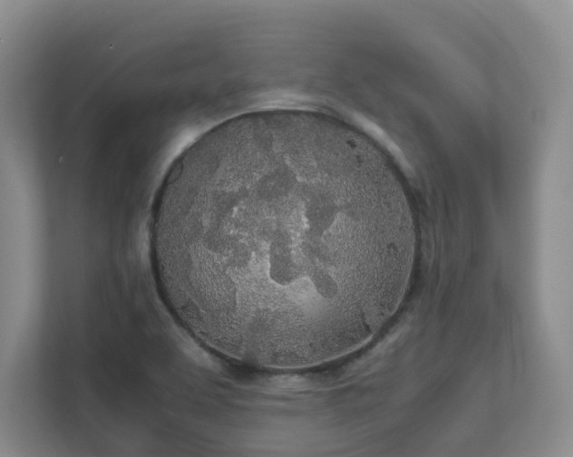 X0000111491463200907210959