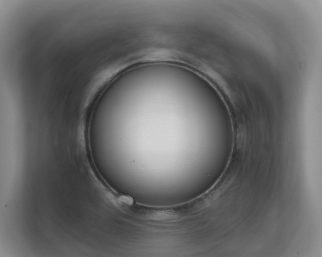 X0000111491464200907210959