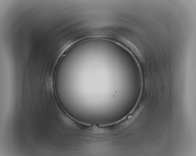 X0000111491465200907210959