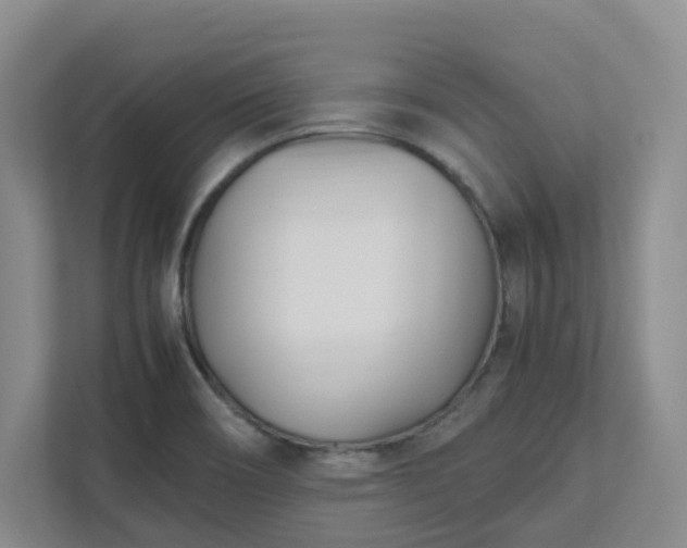 X0000111491466200907210959