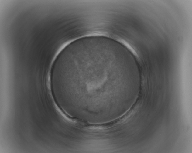 X0000111491468200907210959