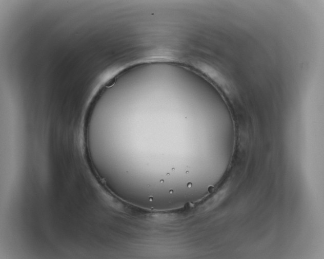 X0000111491469200907210959