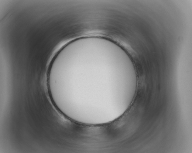 X0000111491470200907210959