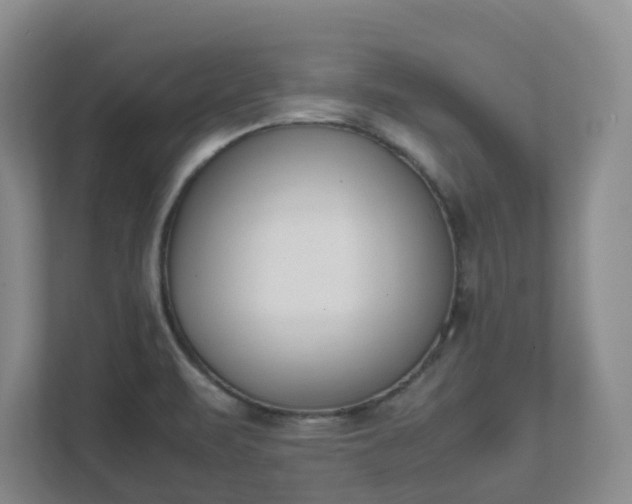 X0000111491471200907210959