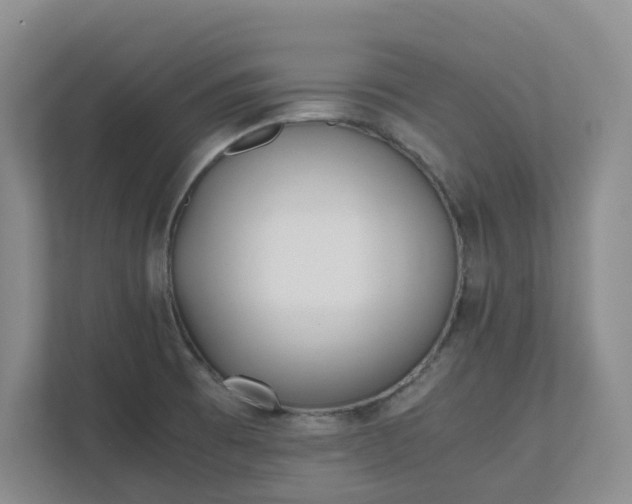 X0000111491473200907210959