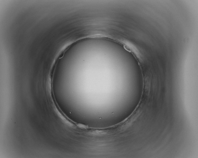 X0000111491476200907210959