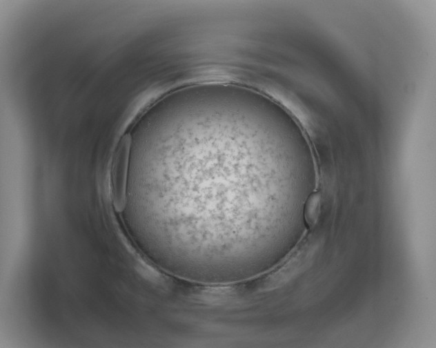 X0000111491477200907210959