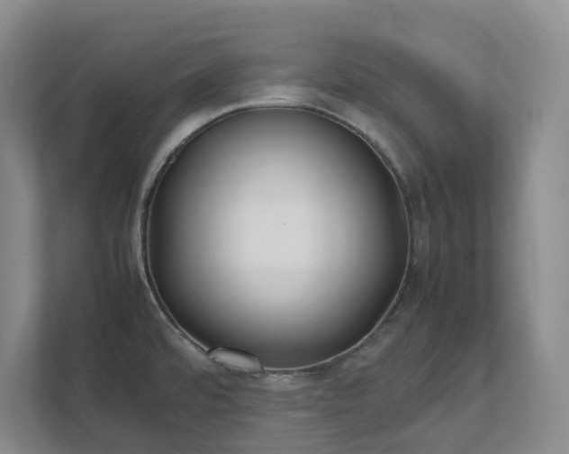 X0000111491480200907210959