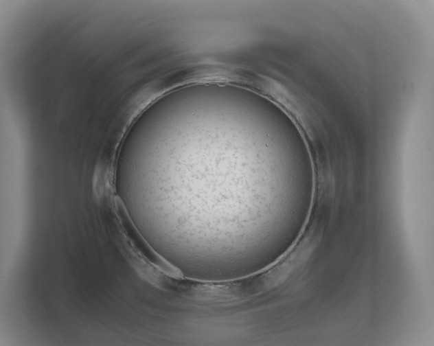 X0000111491481200907210959