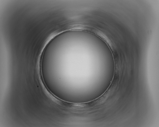 X0000111491483200907210959