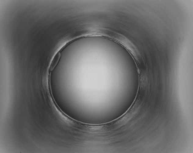 X0000111491484200907210959