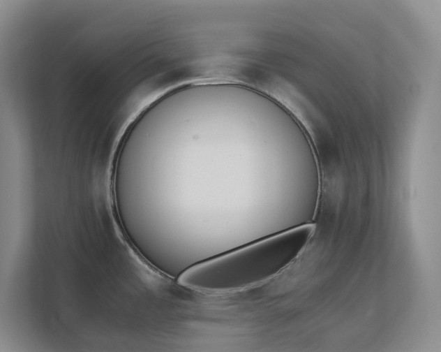 X0000111491485200907210959