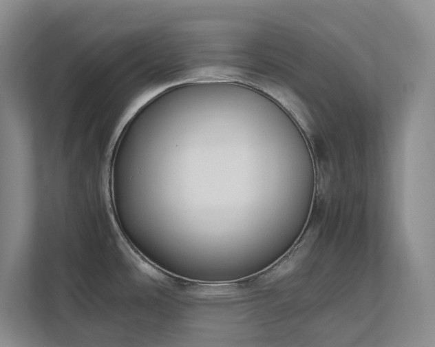 X0000111491486200907210959