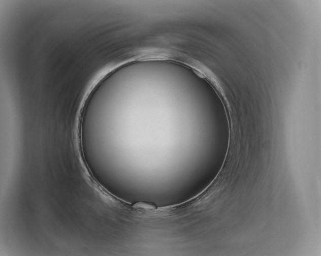 X0000111491488200907210959