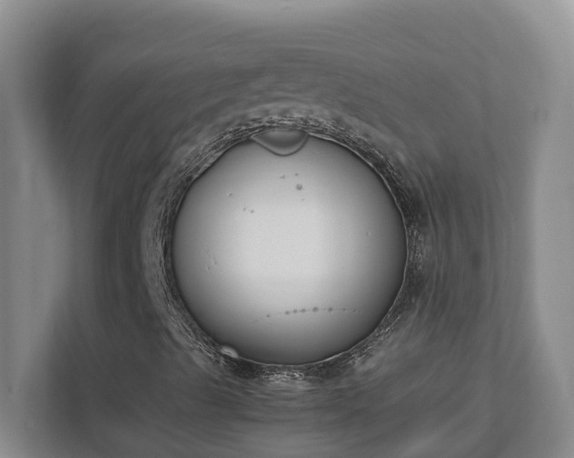 X0000111491489200907210958