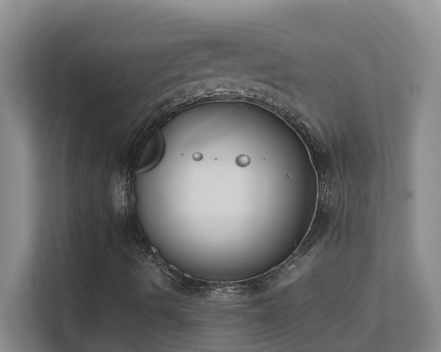 X0000111491490200907210958