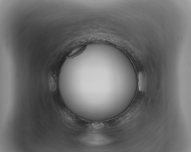 X0000111491491200907210958