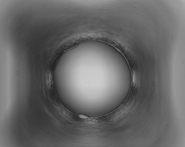 X0000111491492200907210958