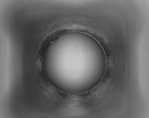 X0000111491493200907210958