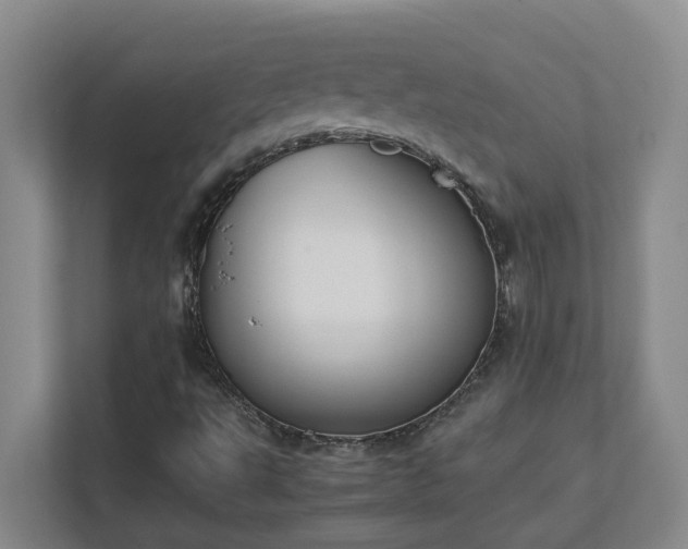 X0000111491495200907210958