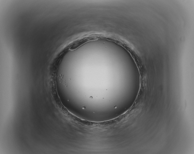 X0000111491496200907210958