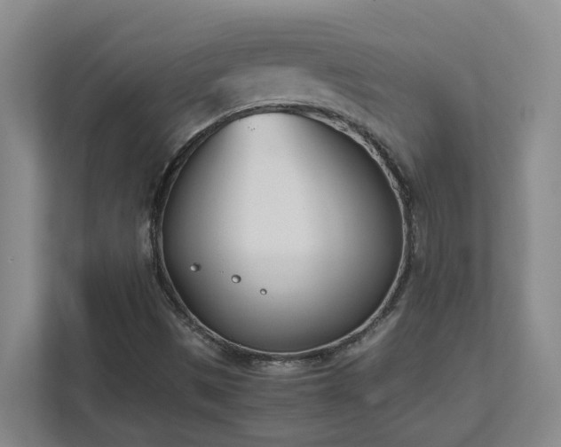 X0000111491497200907210958