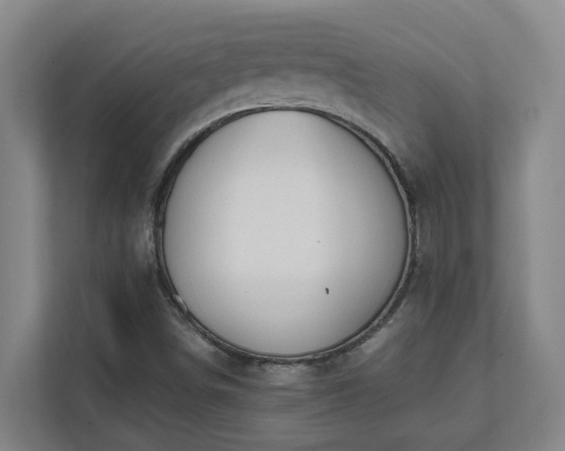 X0000111491498200907210958