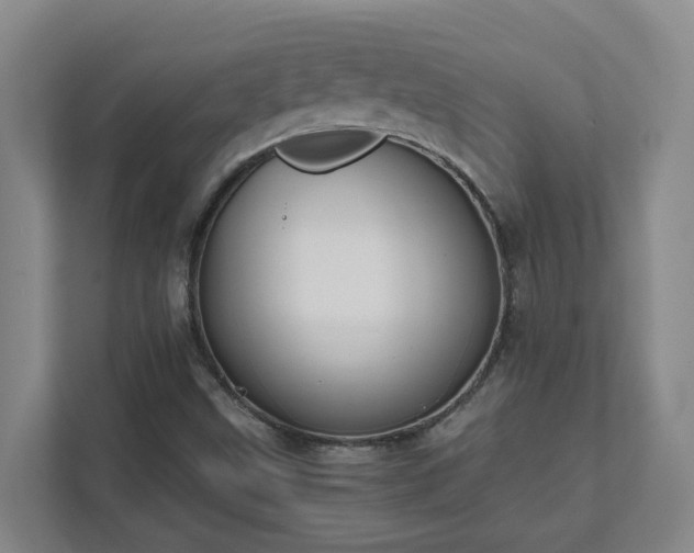 X0000111491499200907210958