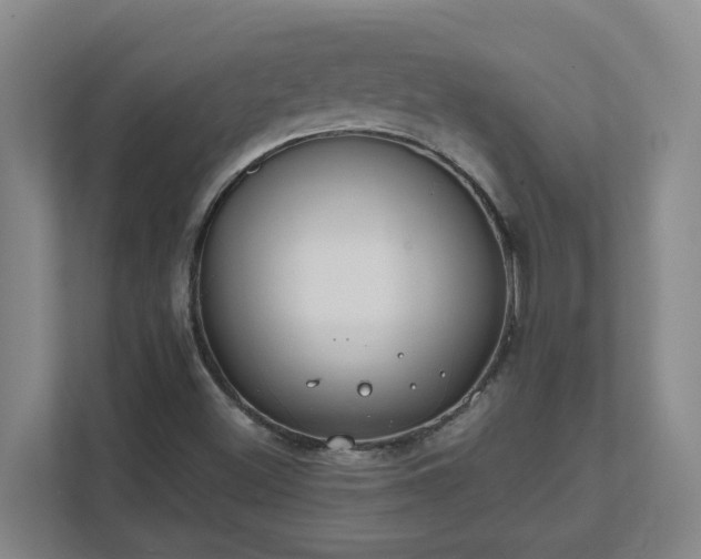 X0000111491500200907210958