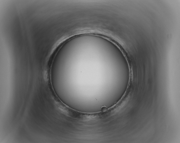 X0000111491501200907210958