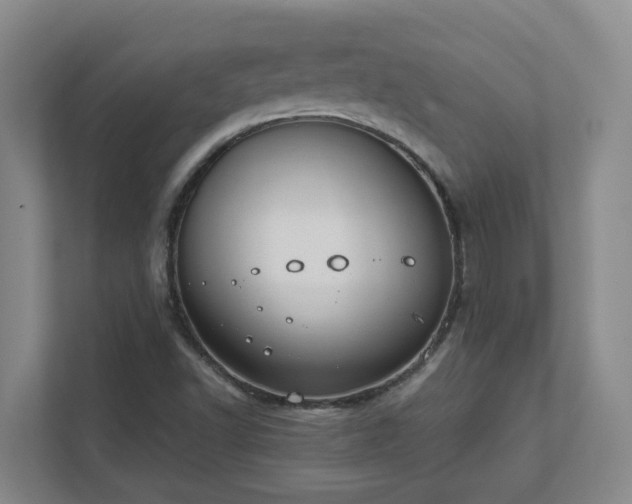 X0000111491502200907210958