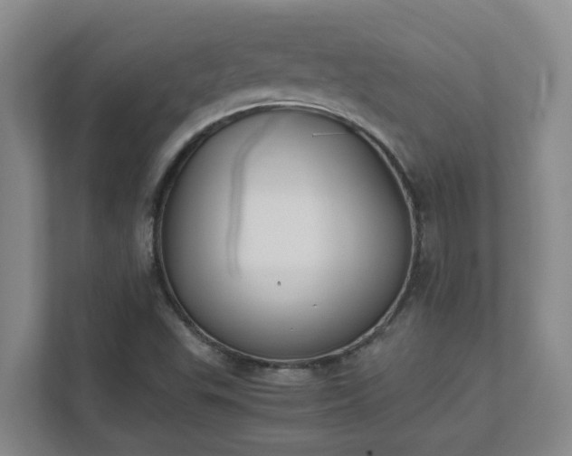 X0000111491503200907210958