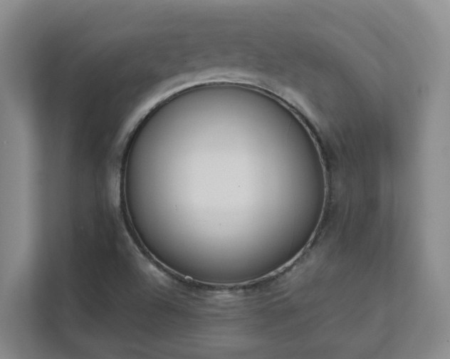 X0000111491504200907210958