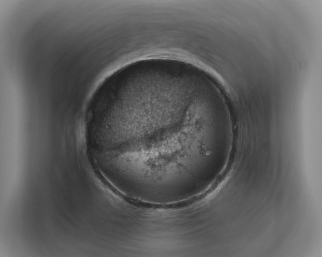 X0000111491506200907210958