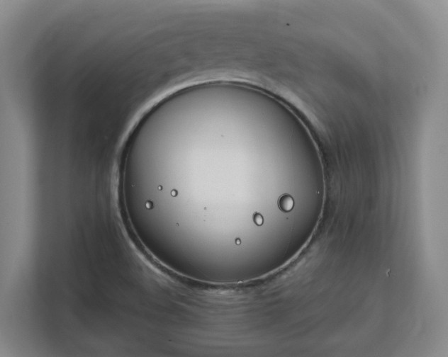 X0000111491508200907210958