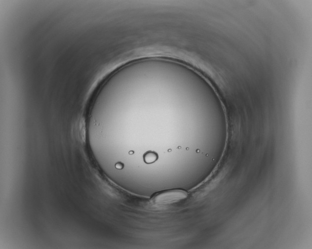 X0000111491509200907210958