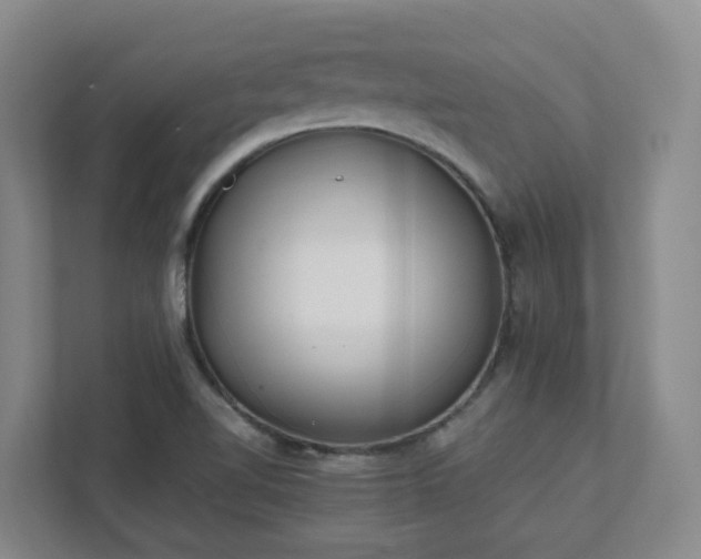 X0000111491510200907210958