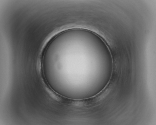 X0000111491511200907210958