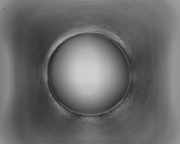 X0000111491512200907210958