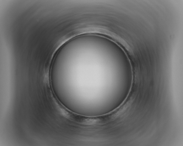 X0000111491513200907210958