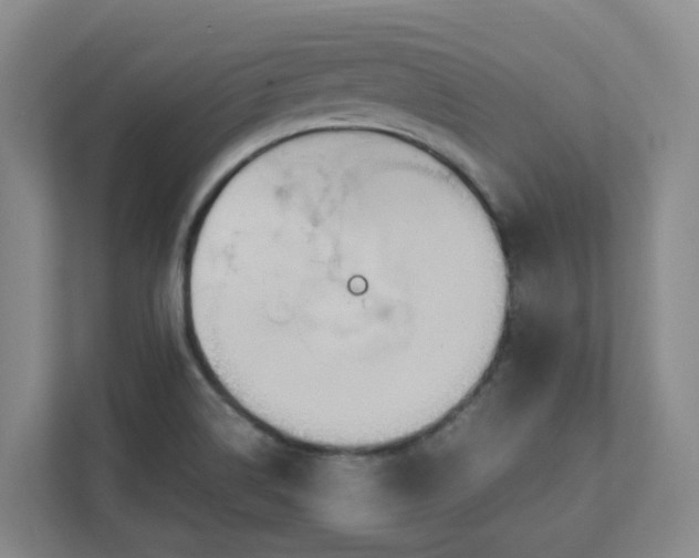 X0000111491514200907210958