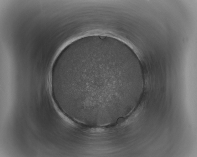 X0000111491515200907210958