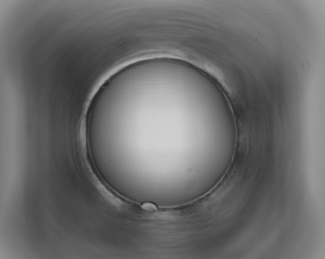 X0000111491516200907210958