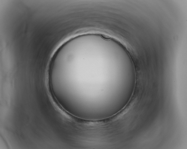 X0000111491518200907210958