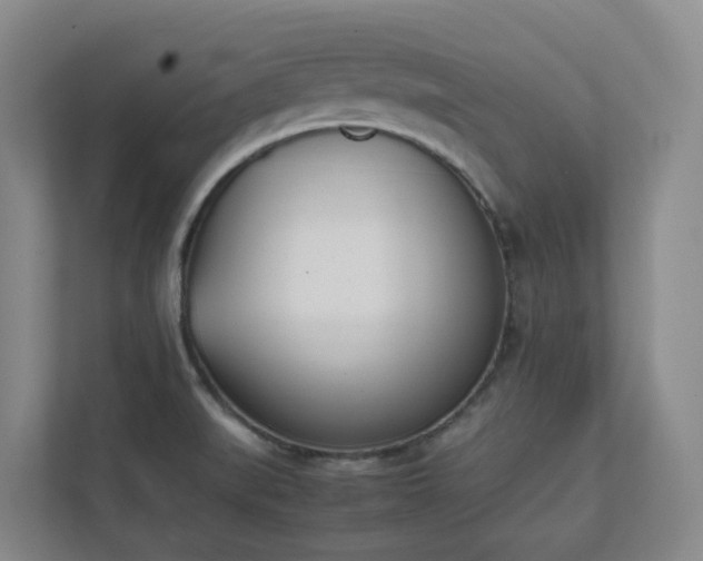 X0000111491519200907210958