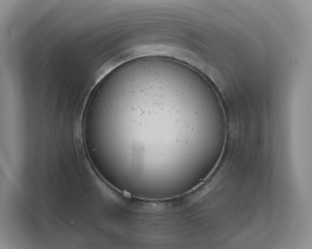 X0000111491521200907210958